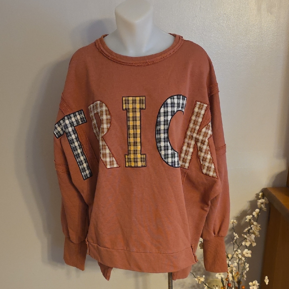 Altar'd State Oversized Sweatshirt